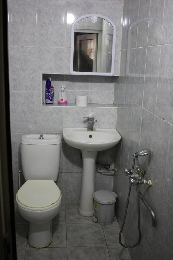 Гостевой дом Ella Guesthouse Боржоми-17