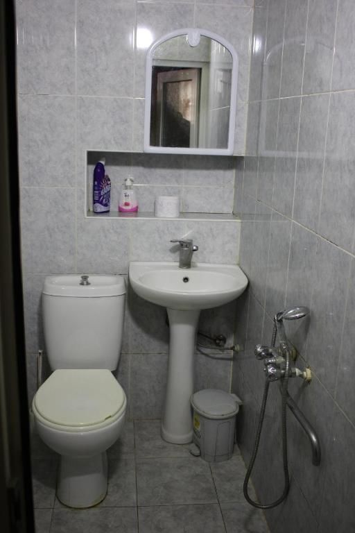 Гостевой дом Ella Guesthouse Боржоми-24