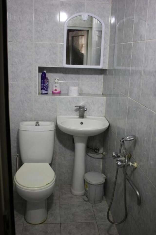 Гостевой дом Ella Guesthouse Боржоми-23